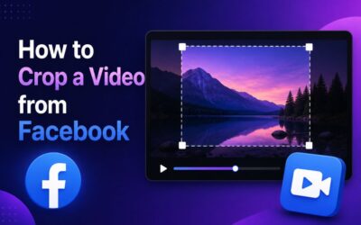 How to Crop a Video from Facebook: Step-by-Step Guide